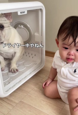 しろちゃんも困り顔