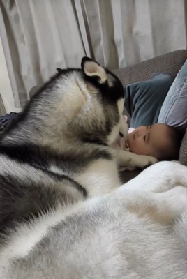 諭吉くんと赤ちゃん3