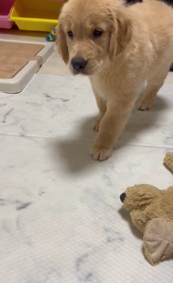 抜き足差し足で近づいて…