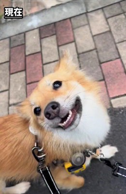 幸せになれてよかった