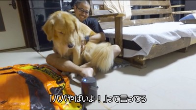 男性の膝に避難して電動ポンプを見つめる犬