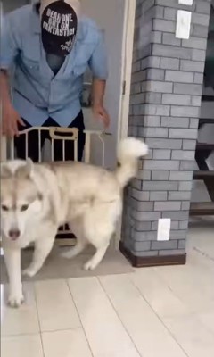 寧々ちゃん＆茶々ちゃんのお出迎え⑩