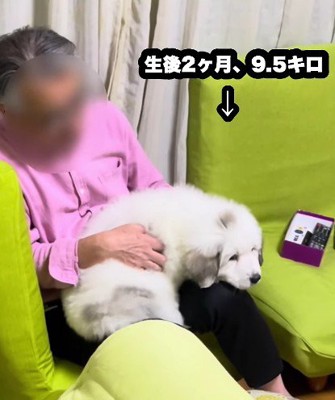 膝の上に乗るのが大好き♡