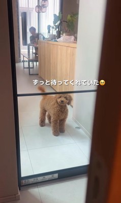 ママさんを待つぷぅと君7
