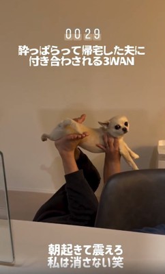 ママを見るとうふくん