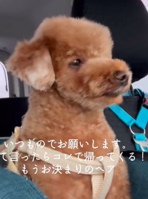 定番スタイルに!