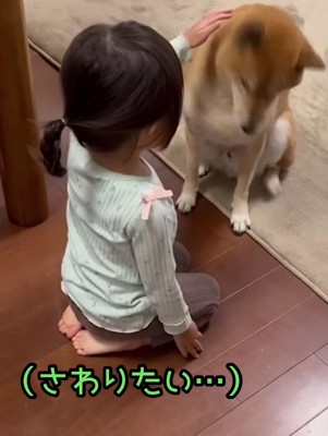 女の子が触ろうとすると…