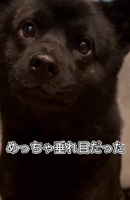 天性のベビーフェイス！？