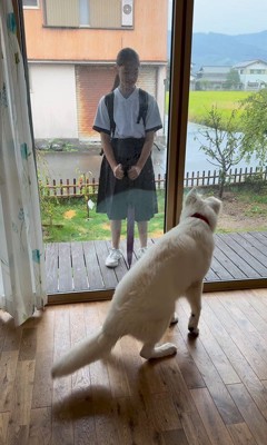 お姉ちゃんを引き止めたいまる君4