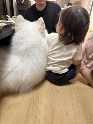 後ろ姿