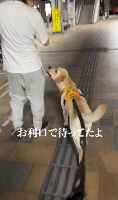 ママさんのお迎えに来たレオンくん9