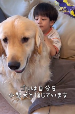 男の子の上に座るエルくん