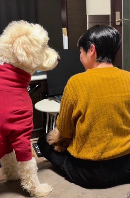 圧をかける大型犬