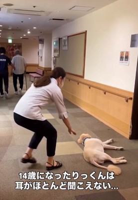 耳が聞こえないりくくん