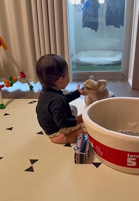 顔を近づけるハナちゃん