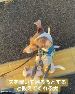 パパの方を見るうみちゃん