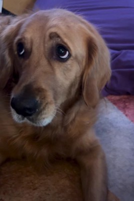 もともとタレ目気味