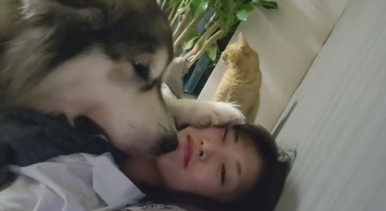 ヤキモチを妬いたぽてまるちゃん