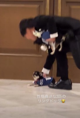 新郎と犬
