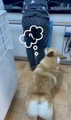 何かが気になるみたい