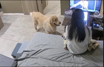 「ぼくがきたよぉ」