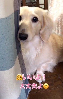 瞳がぱっと明るくなったレオンくん