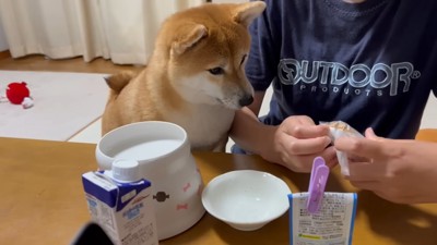 袋を開ける女性の手元を見る犬