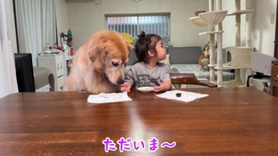 パパとママが戻ってきた