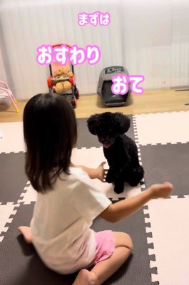 トレーニングも♪