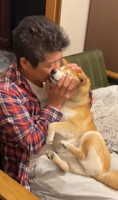 柴犬に鼻をくっ付けている飼い主