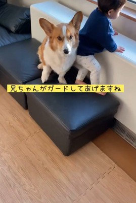 男の子が段差を降りる時のサクくん7