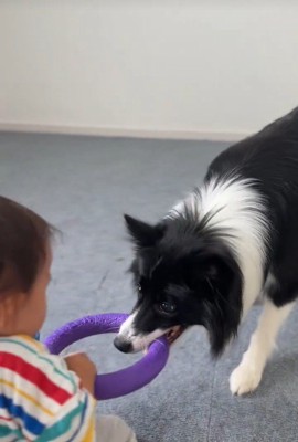 一緒に遊ぶヒマちゃんと赤ちゃん4