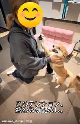 狂喜乱舞の3姉弟