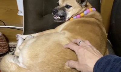 それでもお父さんは切ない…