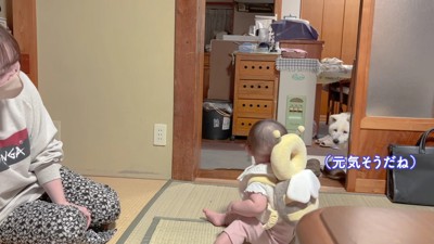 赤ちゃんを見つめるあいちゃん