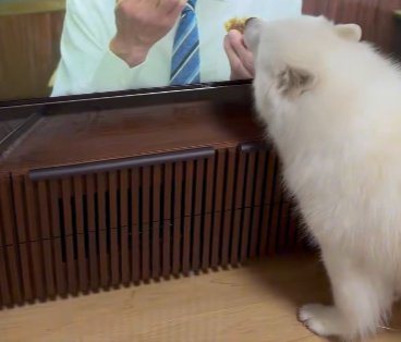 諦めない