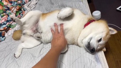 大満足の表情♡