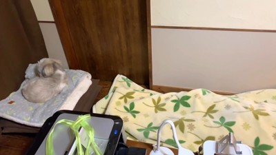 そのまま寝てくれるかと思いきや…