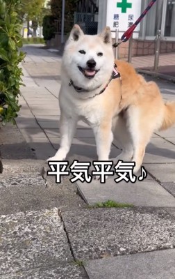 笑顔のうーちゃん