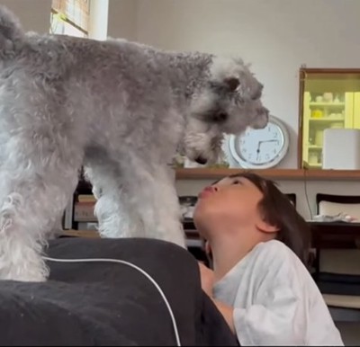 飼い主さんの甥と小型犬