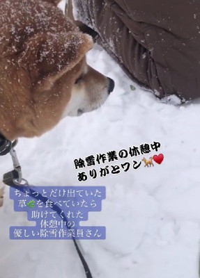 「ありがとわん…」