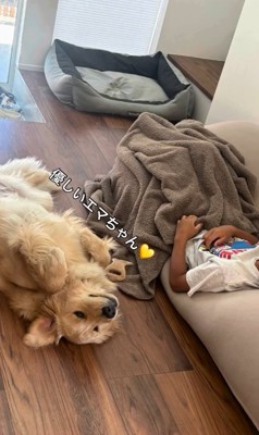 長男に寄り添う大型犬