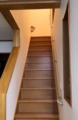 2階から顔を出した福ちゃん