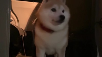 家まで一緒に帰ろう