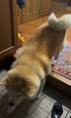 健くんの熱烈歓迎6