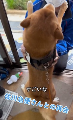 感嘆する飼い主さん