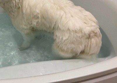 遠目に眺めてみたら…