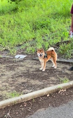 ドッキリに対する福ちゃんの反応5