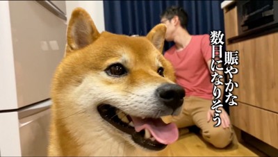 男性に会えて笑顔になる雄の犬