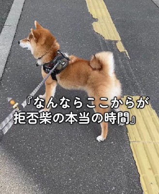 立っただけで歩かない